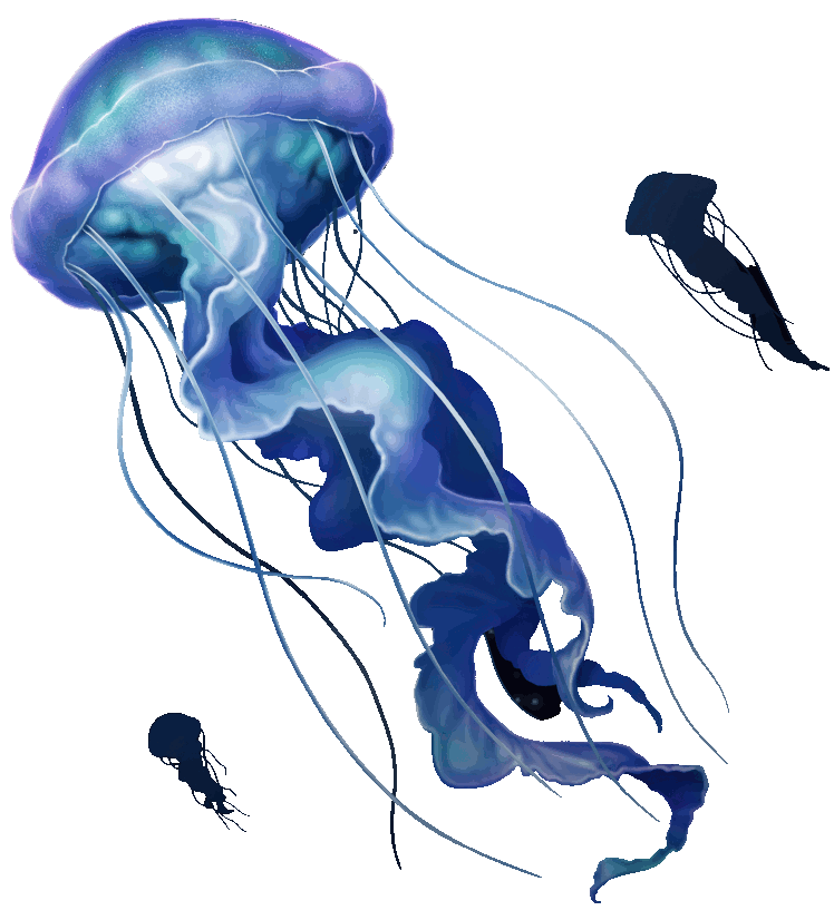 Jellyfish Design